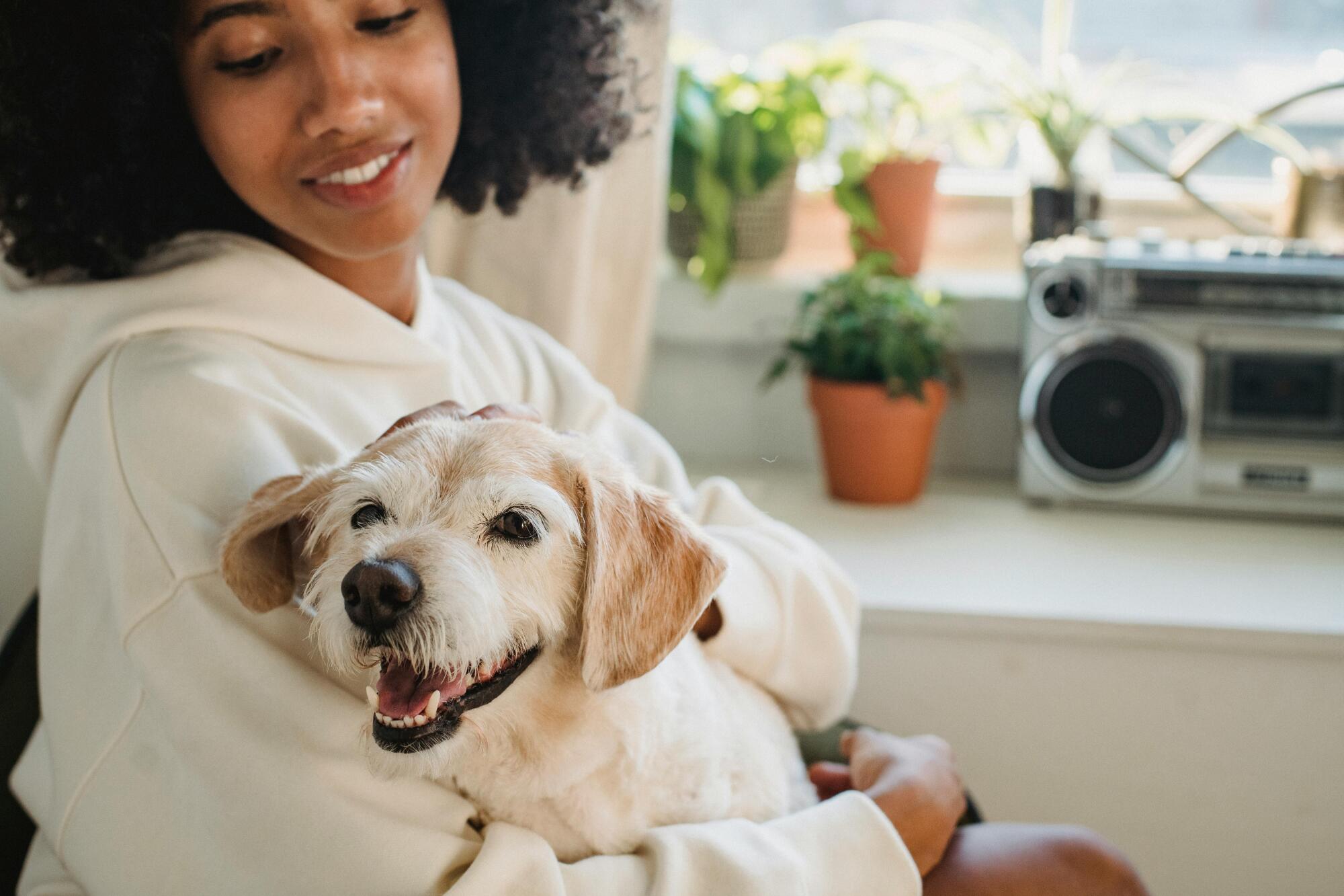 Support Animals in New York HOA Communities: Yes or No?