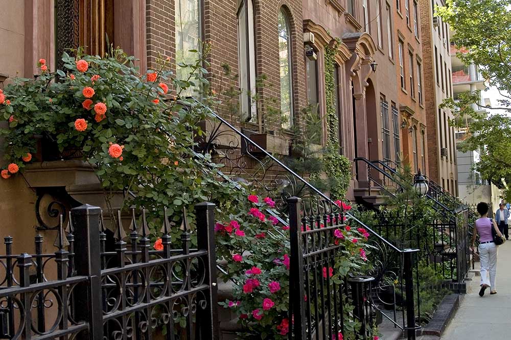 New York City Association Management